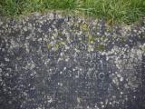 image of grave number 915792